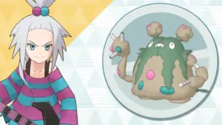 ホミカ&ダストダス