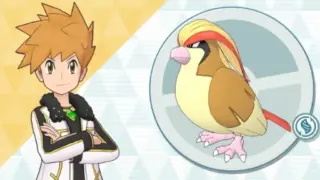 アルコスグリーン&ピジョット