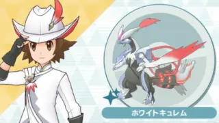 チャンピオントウヤ＆色違いホワイトキュレム