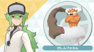 N＆ランドロス