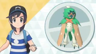 ヨウ＆ジュナイパー