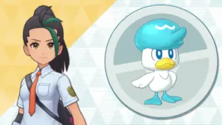 ネモ＆クワッス