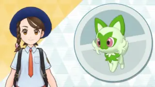 アオイ＆ニャオハ