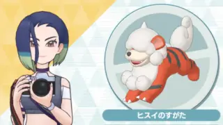 サザレ＆ヒスイガーディ