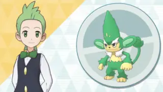 デント&ヤナッキー