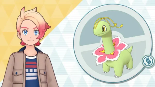 ガイ＆メガニウム