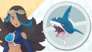 イズミ＆サメハダー